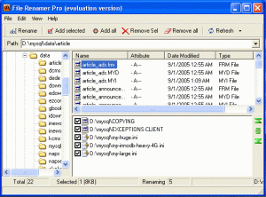 File Renamer Pro screen shot